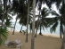 ko_samui_106.jpg